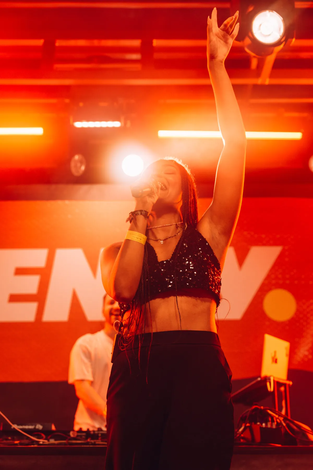 Deejay Plus beim Festival mit Live Musik und tanzenden Besuchern.